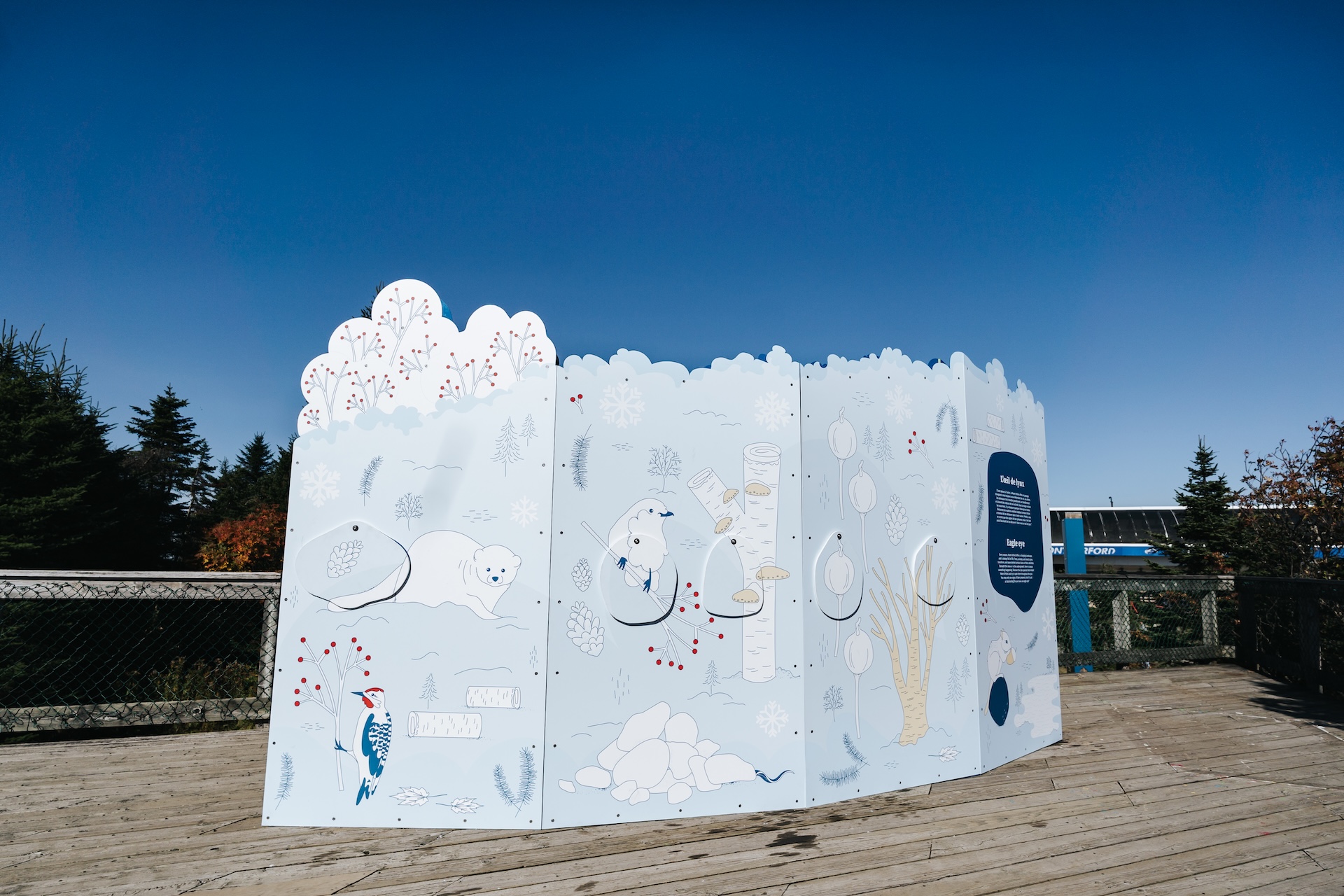 Installation muséographique hivernale de Studio Overall, illustrant faune et flore enneigées.