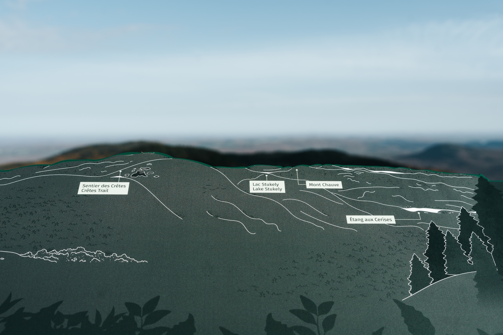 Carte illustrée des lieux naturels autour de Mont Chauve, Lac Stukely et Étang aux Cerises.
