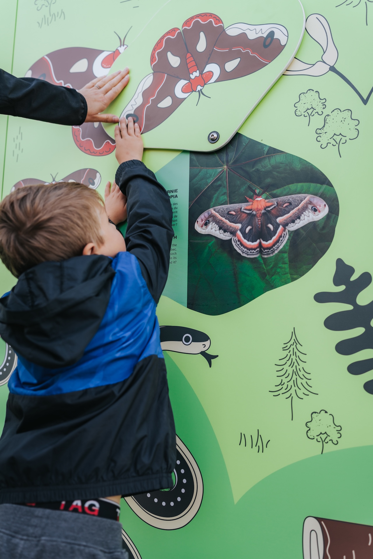 Enfant et adulte interagissant avec une installation éducative sur les papillons.