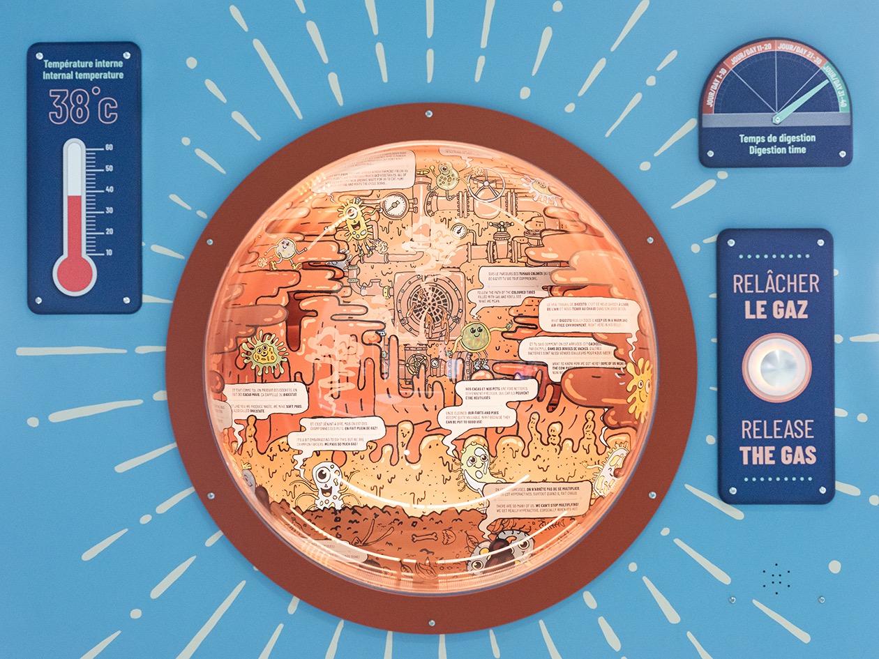 Installation muséographique interactive sur la digestion humaine, avec indicateurs et personnages illustrés.