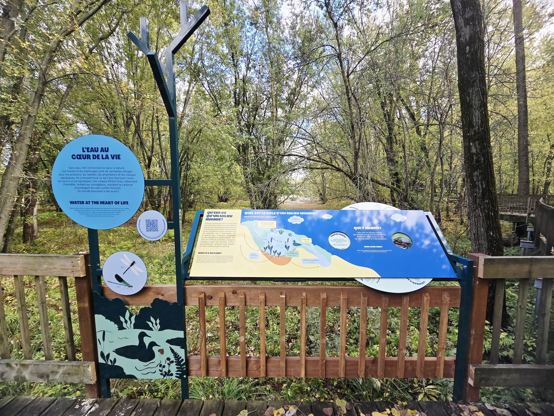 Image de station 2 l eau au coeur de la vie par Studio Overall