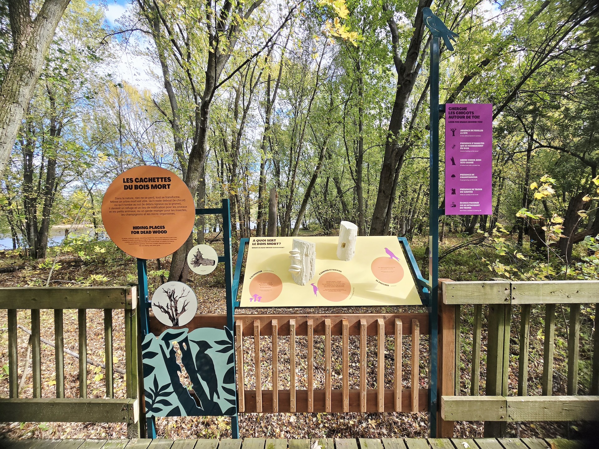 Image de station 3 cachettes du bois mort par Studio Overall