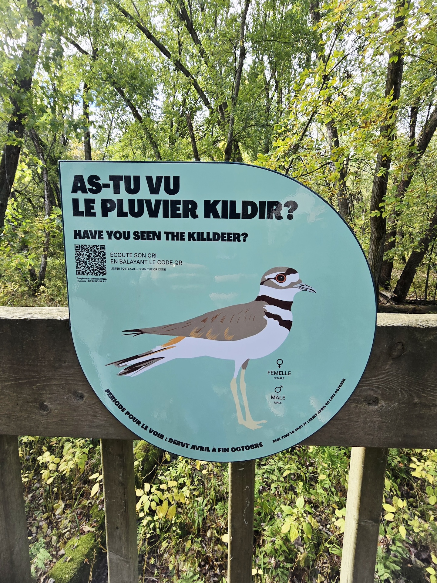 Panonceau d'information sur le pluvier kildir, avec QR code et illustration, en forêt.