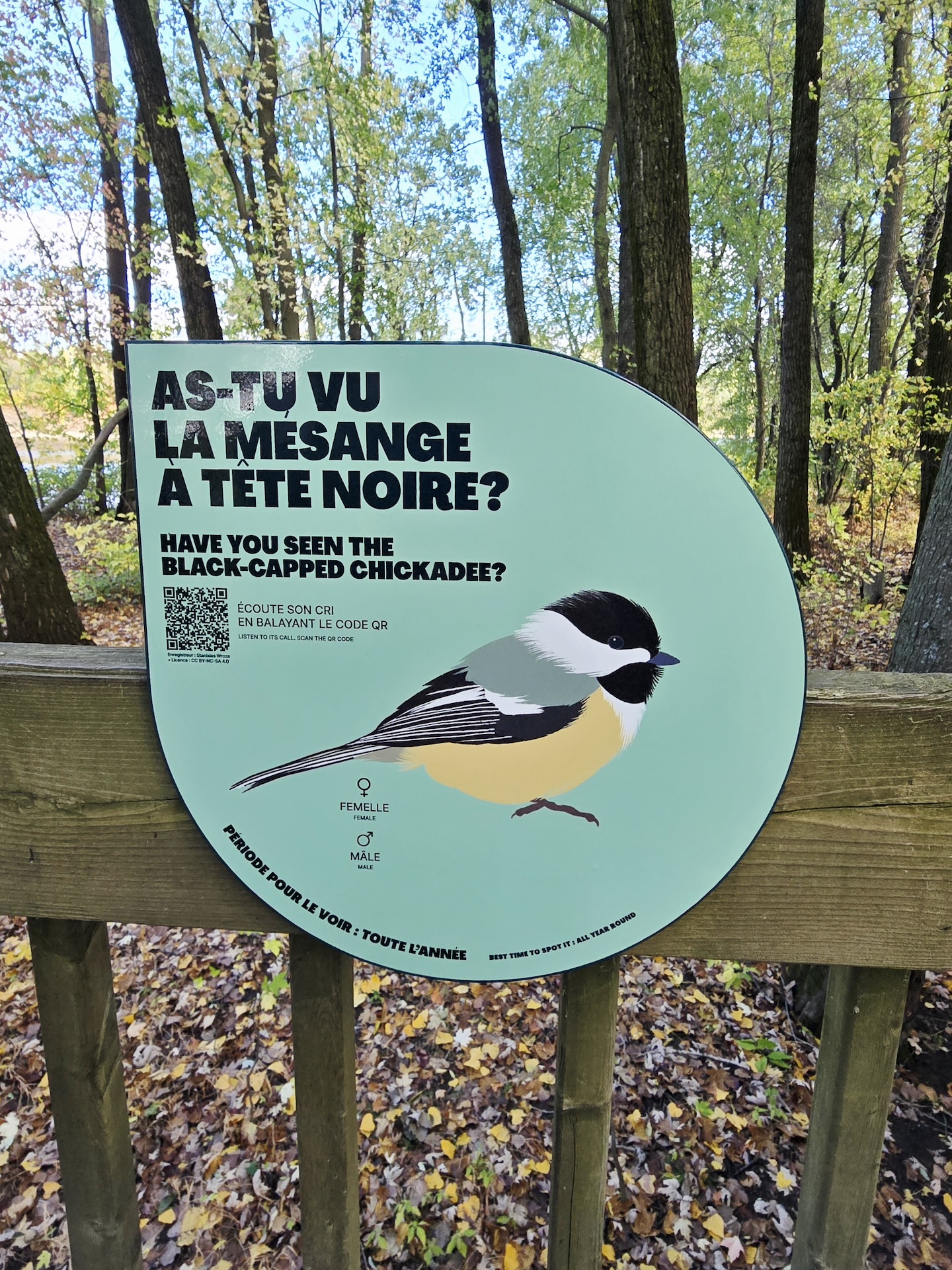 Panonceau d'information sur le chicot noir, avec illustration et QR code, en forêt.