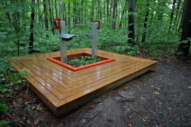 Installation extérieure en bois avec équipement sportif dans une forêt verdoyante.