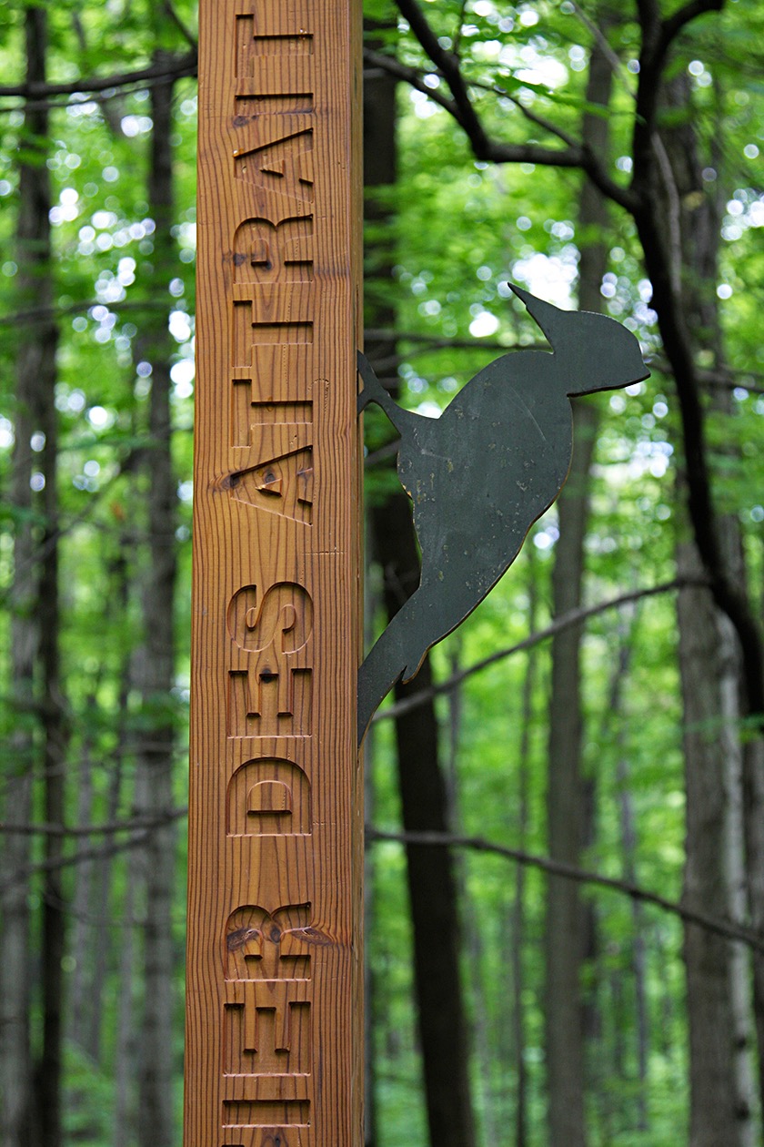 Signalétique en bois avec silhouette d'oiseau dans une forêt verdoyante.