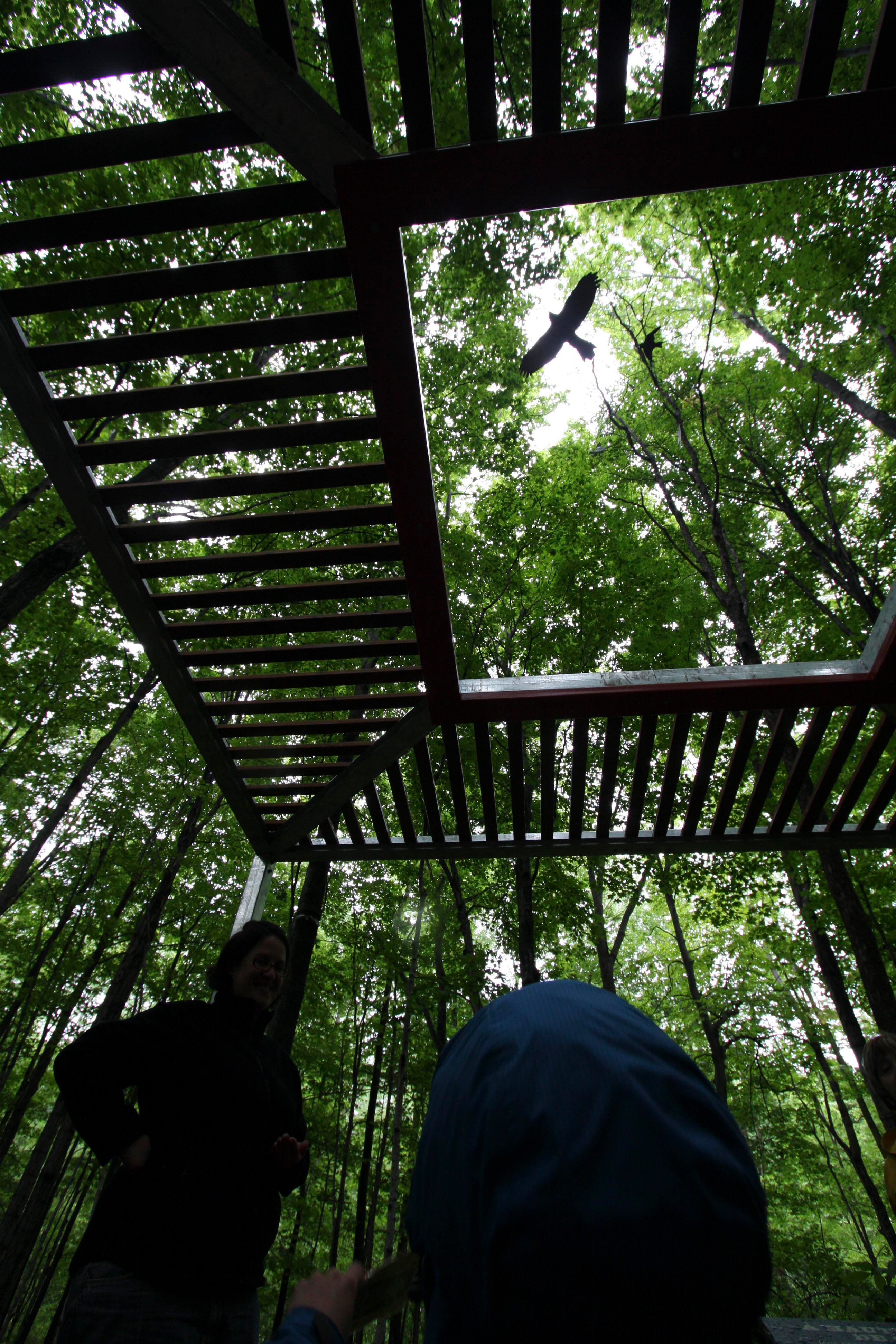 Vue en contre-jour d'une structure en bois dans une forêt, avec des visiteurs et des oiseaux en vol.