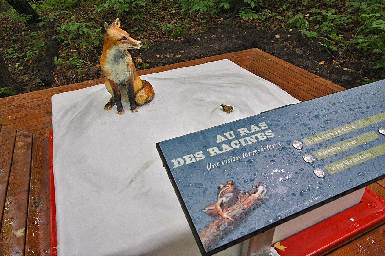 Installation muséographique avec statue de renard et panneau éducatif en forêt.