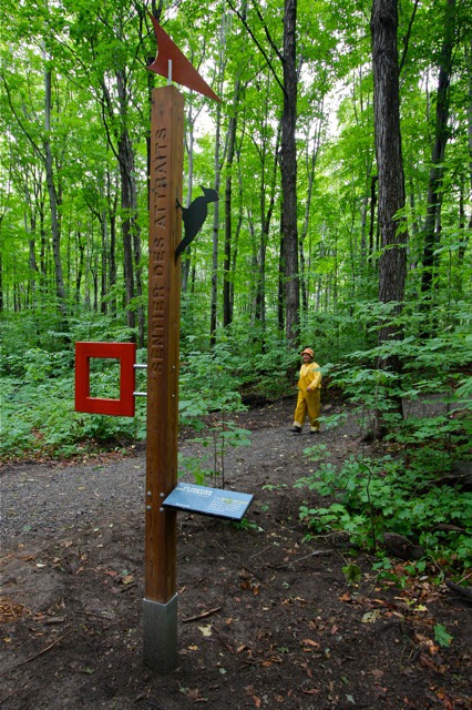 Installation forestière de Studio Overall, avec panneau éducatif et visiteur en tenue jaune.